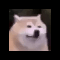 Cubert